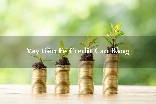 Vay tiền Fe Credit Cao Bằng Vay tiền Fe Credit Cao Bằng