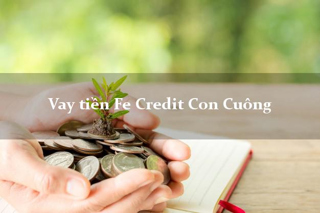 Vay tiền Fe Credit Con Cuông Nghệ An Vay tiền Fe Credit Con Cuông Nghệ An