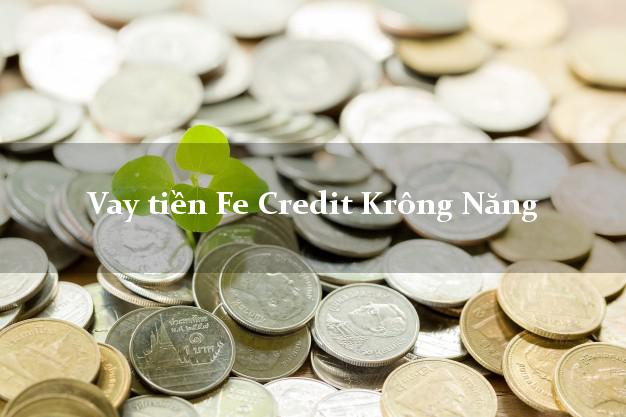 Vay tiền Fe Credit Krông Năng Đắk Lắk Vay tiền Fe Credit Krông Năng Đắk Lắk
