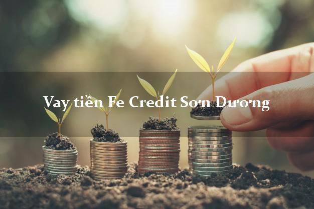 Vay tiền Fe Credit Sơn Dương Tuyên Quang Vay tiền Fe Credit Sơn Dương Tuyên Quang